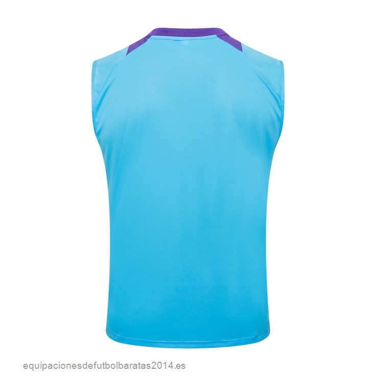 Nuevo Entrenamiento Sin Mangas Argentina 2024 Azul Purpura Baratas